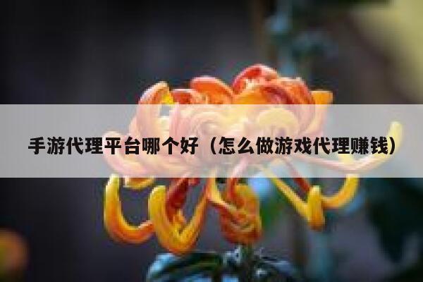 手游代理平台哪个好（怎么做游戏代理赚钱） 第1张
