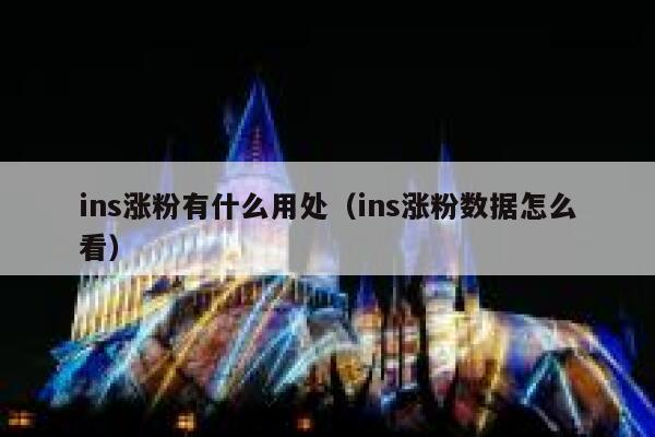 ins涨粉有什么用处（ins涨粉数据怎么看） 第1张
