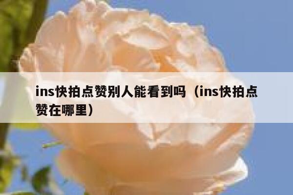 ins快拍点赞别人能看到吗（ins快拍点赞在哪里） 第1张