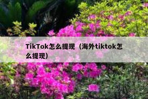TikTok怎么提现（海外tiktok怎么提现） 第1张