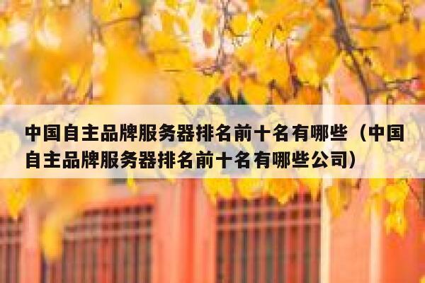 中国自主品牌服务器排名前十名有哪些（中国自主品牌服务器排名前十名有哪些公司） 第1张