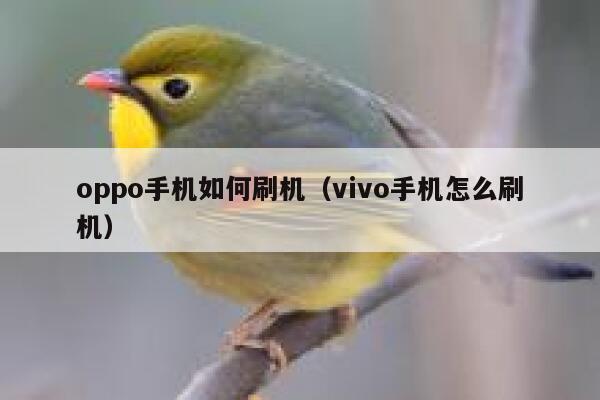 oppo手机如何刷机（vivo手机怎么刷机） 第1张
