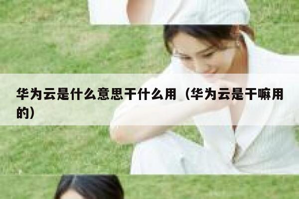 华为云是什么意思干什么用（华为云是干嘛用的） 第1张