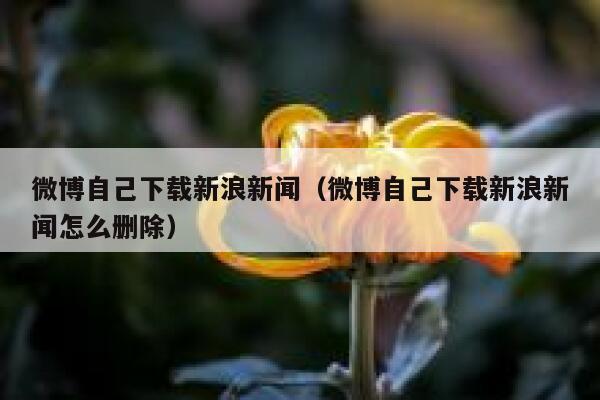 微博自己下载新浪新闻（微博自己下载新浪新闻怎么删除） 第1张
