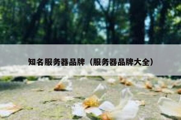 知名服务器品牌（服务器品牌大全） 第1张