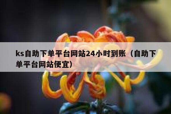 ks自助下单平台网站24小时到账（自助下单平台网站便宜） 第1张