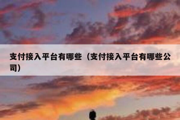 支付接入平台有哪些（支付接入平台有哪些公司） 第1张