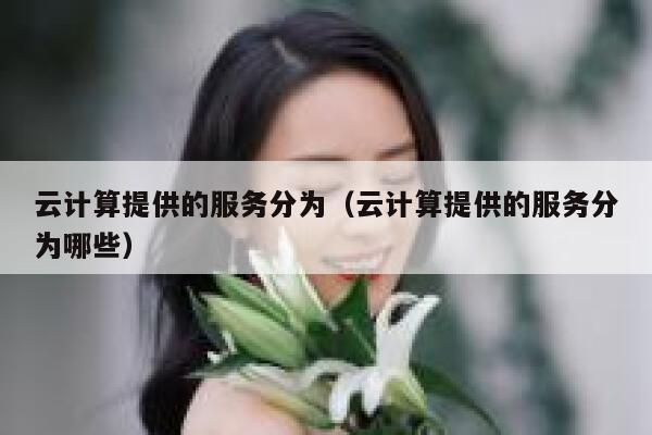 云计算提供的服务分为（云计算提供的服务分为哪些） 第1张