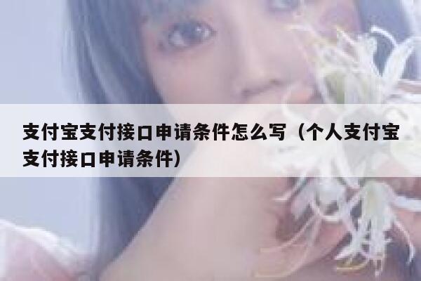 支付宝支付接口申请条件怎么写(个人支付宝支付接口申请条件) 第1张 支付宝支付接口申请条件怎么写(个人支付宝支付接口申请条件) 第1张