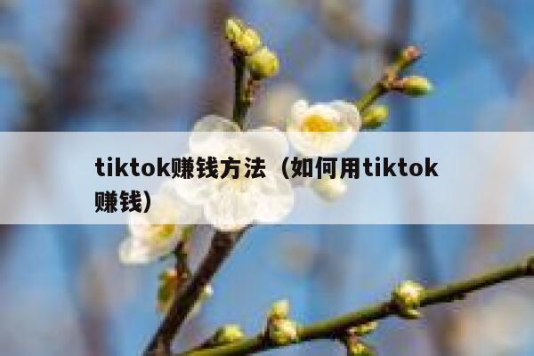 tiktok赚钱方法(如何用tiktok赚钱) 第1张 tiktok赚钱方法(如何用tiktok赚钱) 第1张