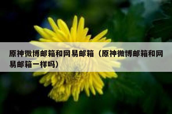 原神微博邮箱和网易邮箱（原神微博邮箱和网易邮箱一样吗） 第1张