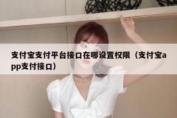 支付宝支付平台接口在哪设置权限(支付宝app支付接口) 第1张 支付宝支付平台接口在哪设置权限(支付宝app支付接口) 第1张