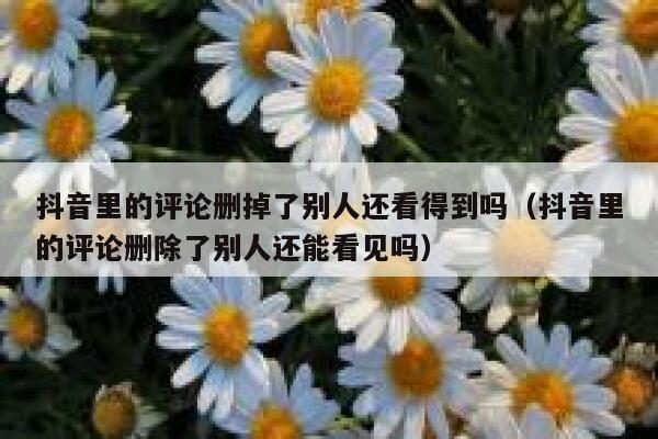 抖音里的评论删掉了别人还看得到吗（抖音里的评论删除了别人还能看见吗） 第1张