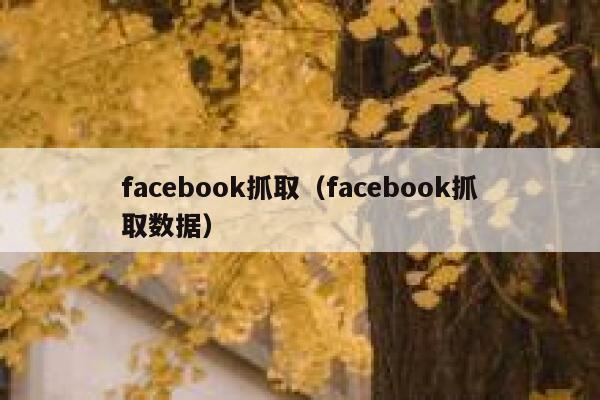 facebook抓取（facebook抓取数据） 第1张