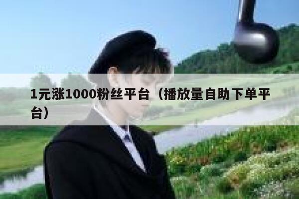 1元涨1000粉丝平台（播放量自助下单平台） 第1张
