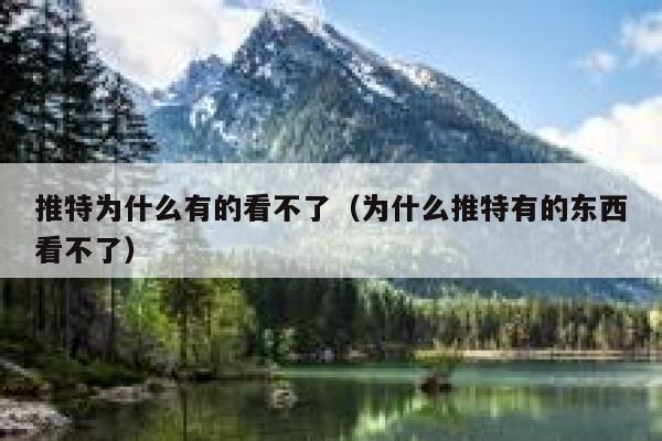 推特为什么有的看不了（为什么推特有的东西看不了） 第1张