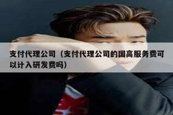 支付代理公司（支付代理公司的国高服务费可以计入研发费吗） 第1张