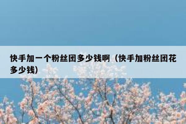 快手加一个粉丝团多少钱啊（快手加粉丝团花多少钱） 第1张