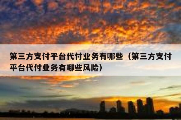 第三方支付平台代付业务有哪些（第三方支付平台代付业务有哪些风险） 第1张