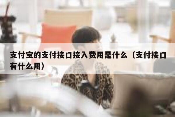 支付宝的支付接口接入费用是什么（支付接口有什么用） 第1张
