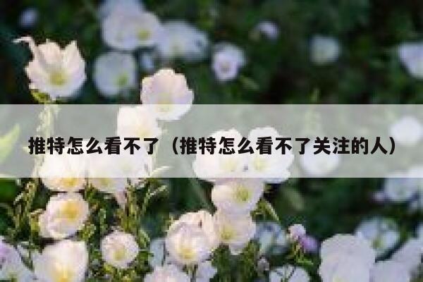 推特怎么看不了（推特怎么看不了关注的人） 第1张