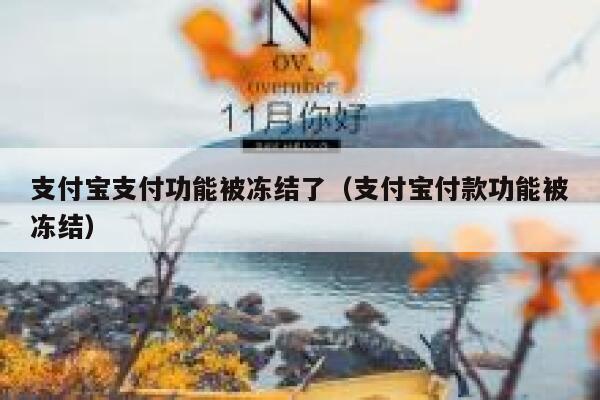 支付宝支付功能被冻结了（支付宝付款功能被冻结） 第1张