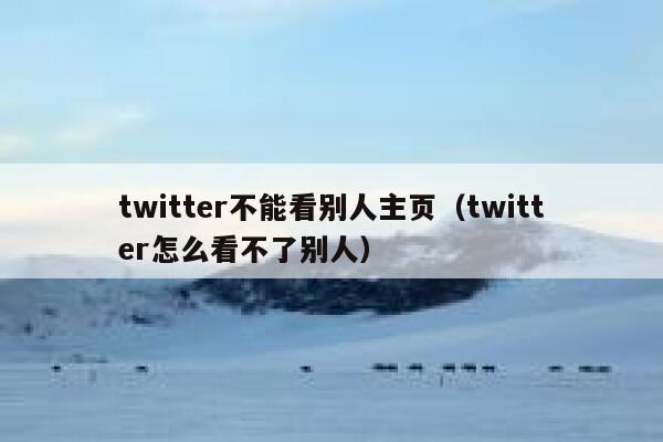twitter不能看别人主页（twitter怎么看不了别人） 第1张