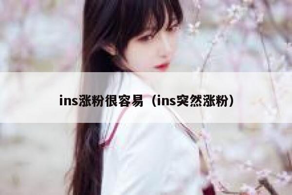 ins涨粉很容易（ins突然涨粉） 第1张