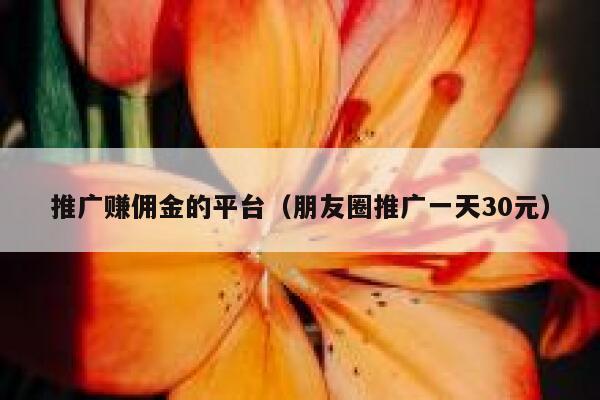 推广赚佣金的平台（朋友圈推广一天30元） 第1张