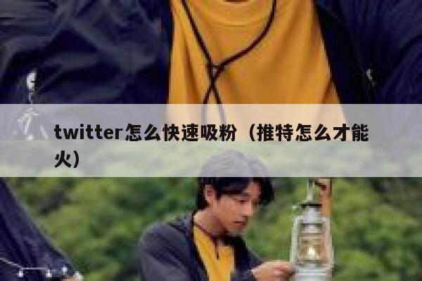 twitter怎么快速吸粉（推特怎么才能火） 第1张