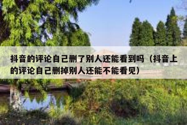 抖音的评论自己删了别人还能看到吗（抖音上的评论自己删掉别人还能不能看见） 第1张
