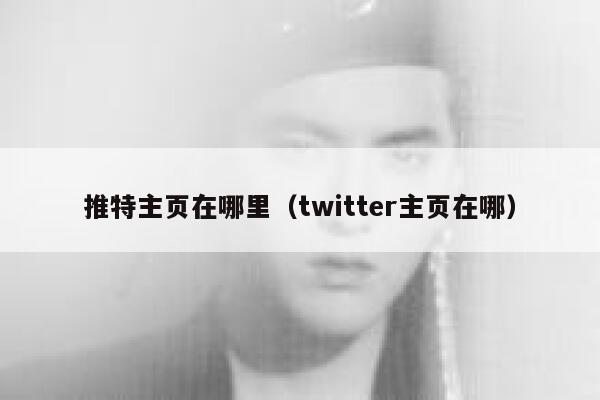 推特主页在哪里（twitter主页在哪） 第1张