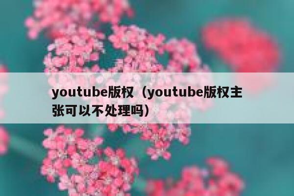 youtube版权（youtube版权主张可以不处理吗） 第1张