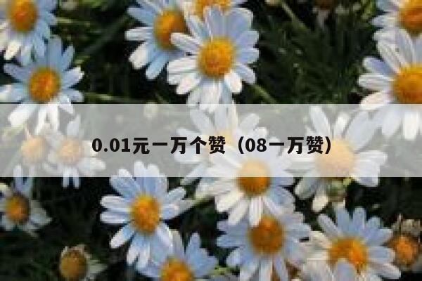 0.01元一万个赞（08一万赞） 第1张