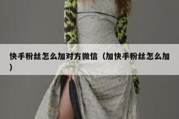 快手粉丝怎么加对方微信（加快手粉丝怎么加） 第1张