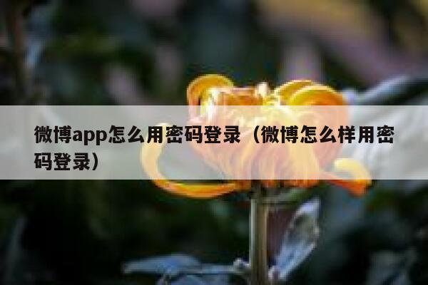 微博app怎么用密码登录（微博怎么样用密码登录） 第1张