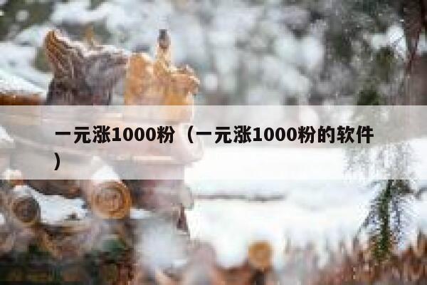 一元涨1000粉（一元涨1000粉的软件） 第1张