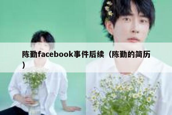 陈勤facebook事件后续（陈勤的简历） 第1张
