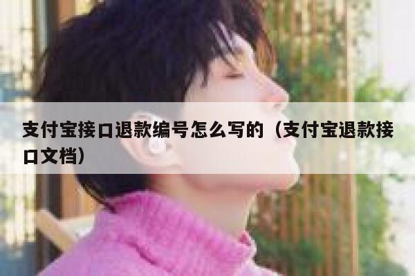 支付宝接口退款编号怎么写的（支付宝退款接口文档） 第1张