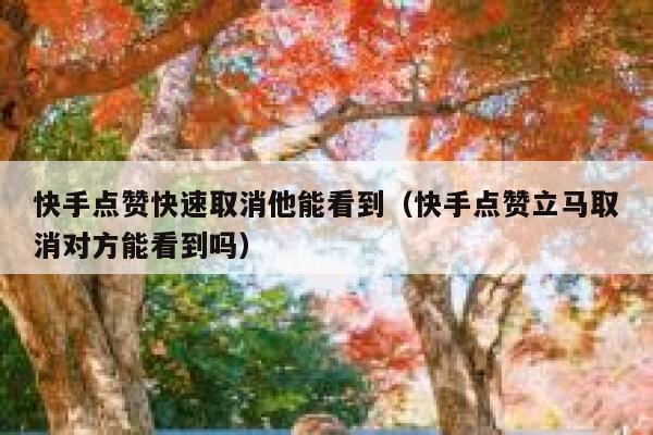 快手点赞快速取消他能看到（快手点赞立马取消对方能看到吗） 第1张