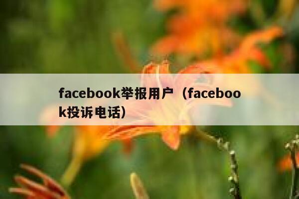 facebook举报用户（facebook投诉电话） 第1张