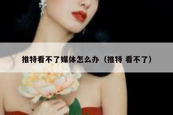 推特看不了媒体怎么办（推特 看不了） 第1张