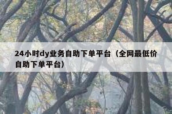 24小时dy业务自助下单平台（全网最低价自助下单平台） 第1张