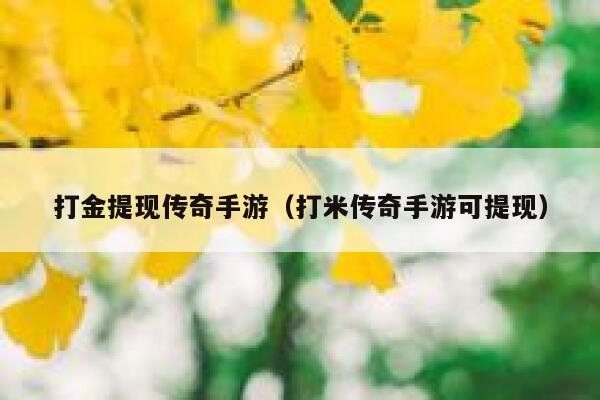 打金提现传奇手游（打米传奇手游可提现） 第1张