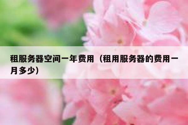 租服务器空间一年费用（租用服务器的费用一月多少） 第1张