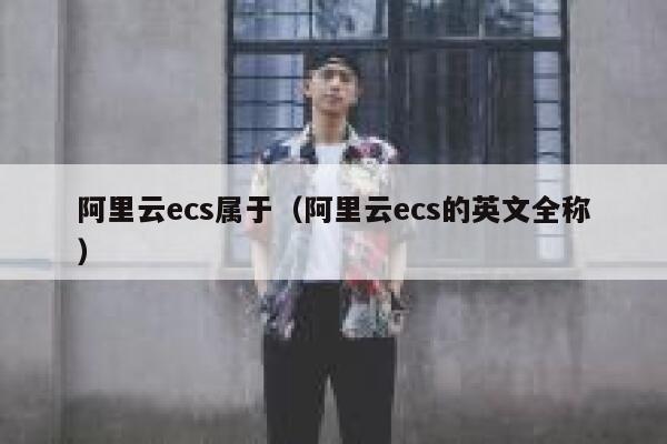 阿里云ecs属于（阿里云ecs的英文全称） 第1张