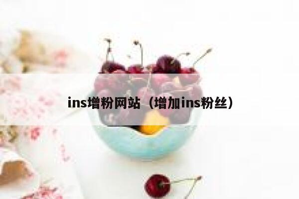 ins增粉网站（增加ins粉丝） 第1张