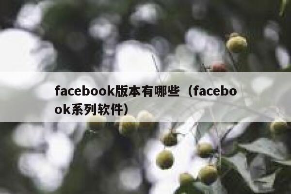 facebook版本有哪些（facebook系列软件） 第1张