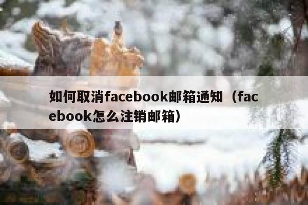 如何取消facebook邮箱通知（facebook怎么注销邮箱） 第1张