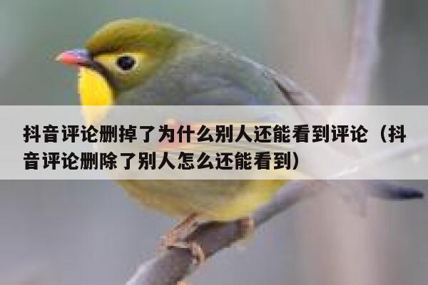 抖音评论删掉了为什么别人还能看到评论（抖音评论删除了别人怎么还能看到） 第1张
